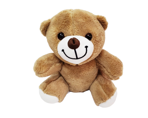 Sevimli Peluş Ayicik Sevimli Peluş Ayicik
