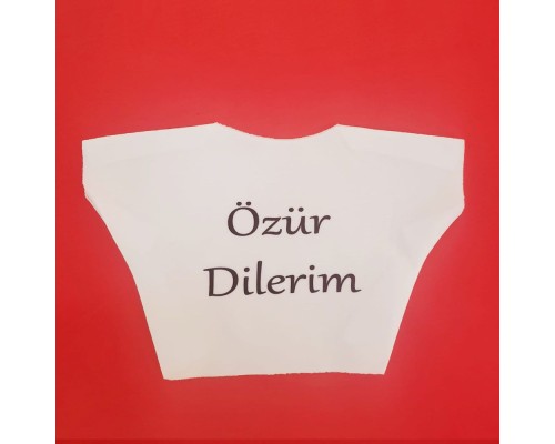 Özür Dilerim Yazılı Peluş Oyuncak Tişörtü Özür Dilerim Yazılı Peluş Oyuncak Tişörtü